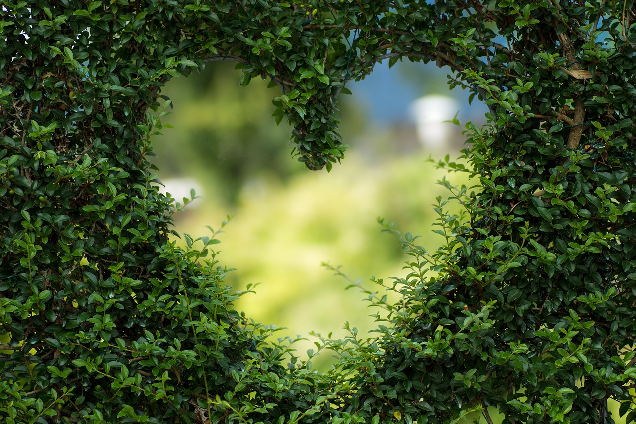 Sacred Heart Emergency Room: Your Trusted Lifeline in Spring Branch, Houston for Over 10 Years